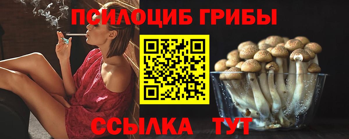 Свободный  Галлюциногенные грибы MAGIC MUSHROOMS  Вход с VPN  Псилоцибиновые грибы Magic Shrooms 
